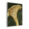 Stupell Industries Chantarelle Mushroom Sprout Wall Plaque By Grace Popp